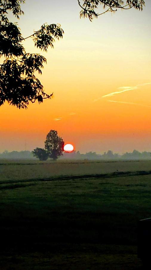 Bed and Breakfast Het Kraaienbosch Zegveld Exteriér fotografie